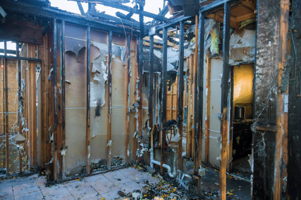 Professional Fire Damage Removal technician working in New Market, AL
